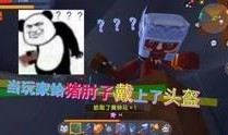 小宇家族爆料视频大全最新,揭秘家族幕后故事与精彩瞬间