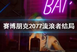 流浪者早期爆料视频,真实生活背后的心酸与挑战