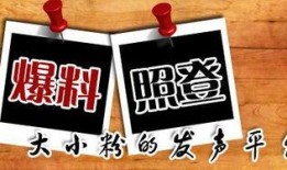 重庆新闻官方爆料热线,倾听民声，守护城市安全