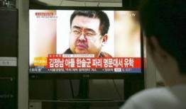 爆料衡水出轨案件视频最新,真相与争议交织