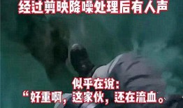 陆河新闻爆料事件视频播放,视频揭露惊人真相