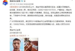 深圳陈先生爆料事件视频,事件真相揭秘